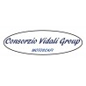 Consorzio Vidali Group