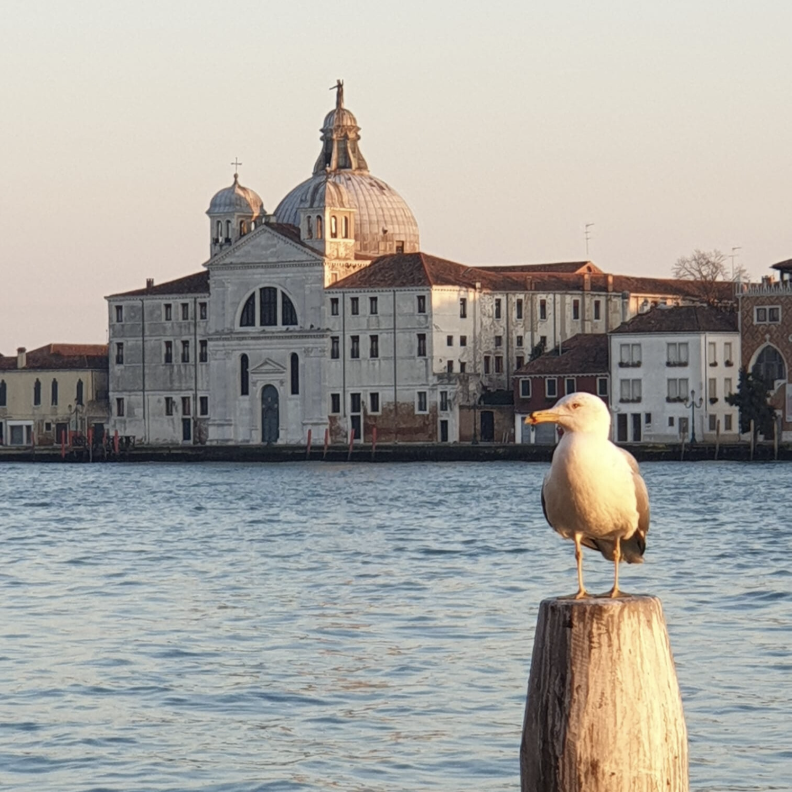 TOUR PANORAMICO - con partenza da CASERMA CORNOLDI  RIVA DEGLI SCHIAVONI